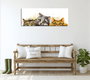 Wallity PC296 Lienzo Decorativo Multicolor 30 x 80 cm